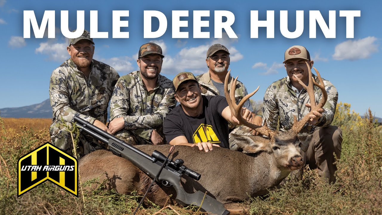 Mule Deer Hunt With Airguns! (Arrow Shooter)