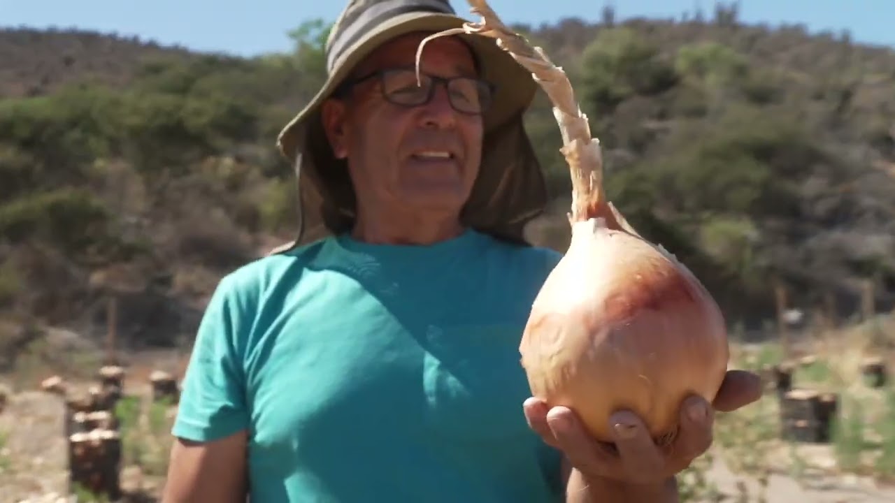 Where the Rivers Forget Their Names: Drought in Chile