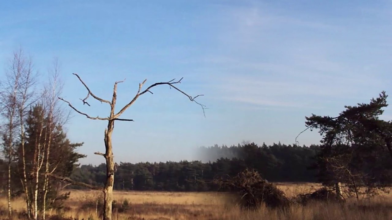 Rok in de Bloes - Snepkensvijver, Heiberg, Kasterlee