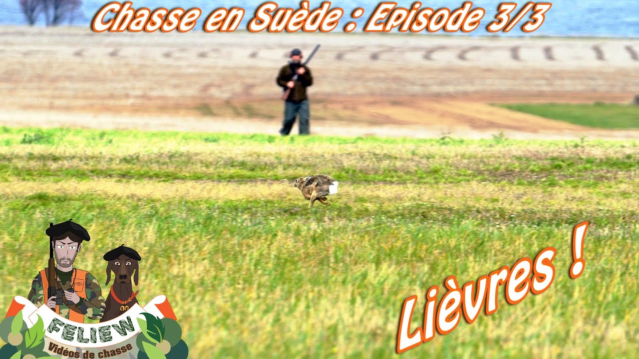 J'irai chasser chez vous : Chasse en Suède épisode 3; chasse au lièvre !