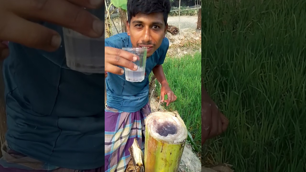 Hard state banana plant water 