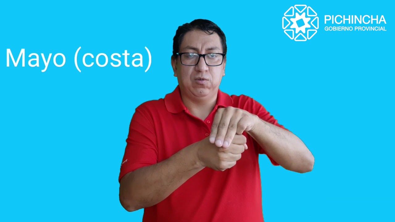 Meses del año LSEC