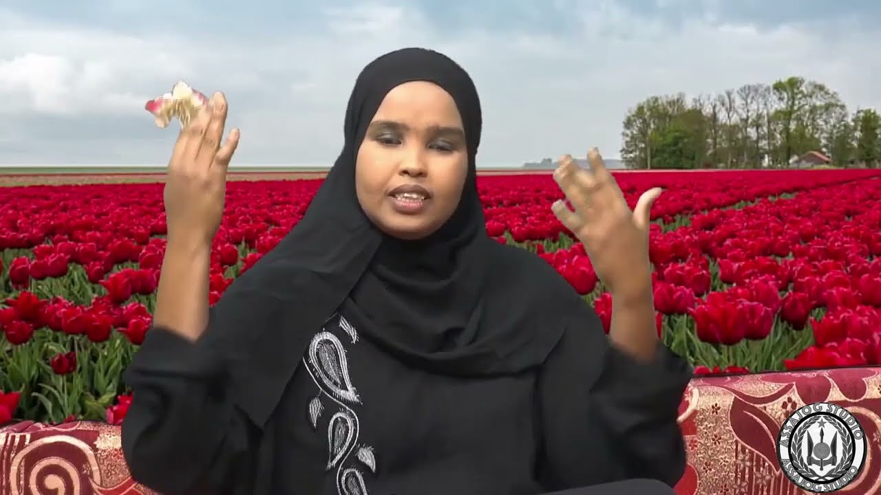 Nabi Amaan  Cusub 2024 Naxaariis Daahirow  Iyo Kooxdii Haldoor GR