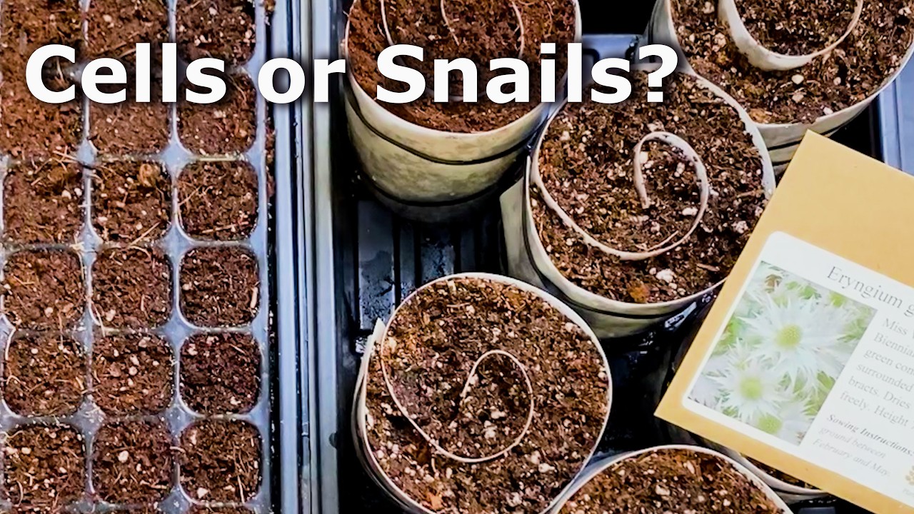 Seed Snails vs. Charles Dowding Seed Tray: Same Space, Different Functions?