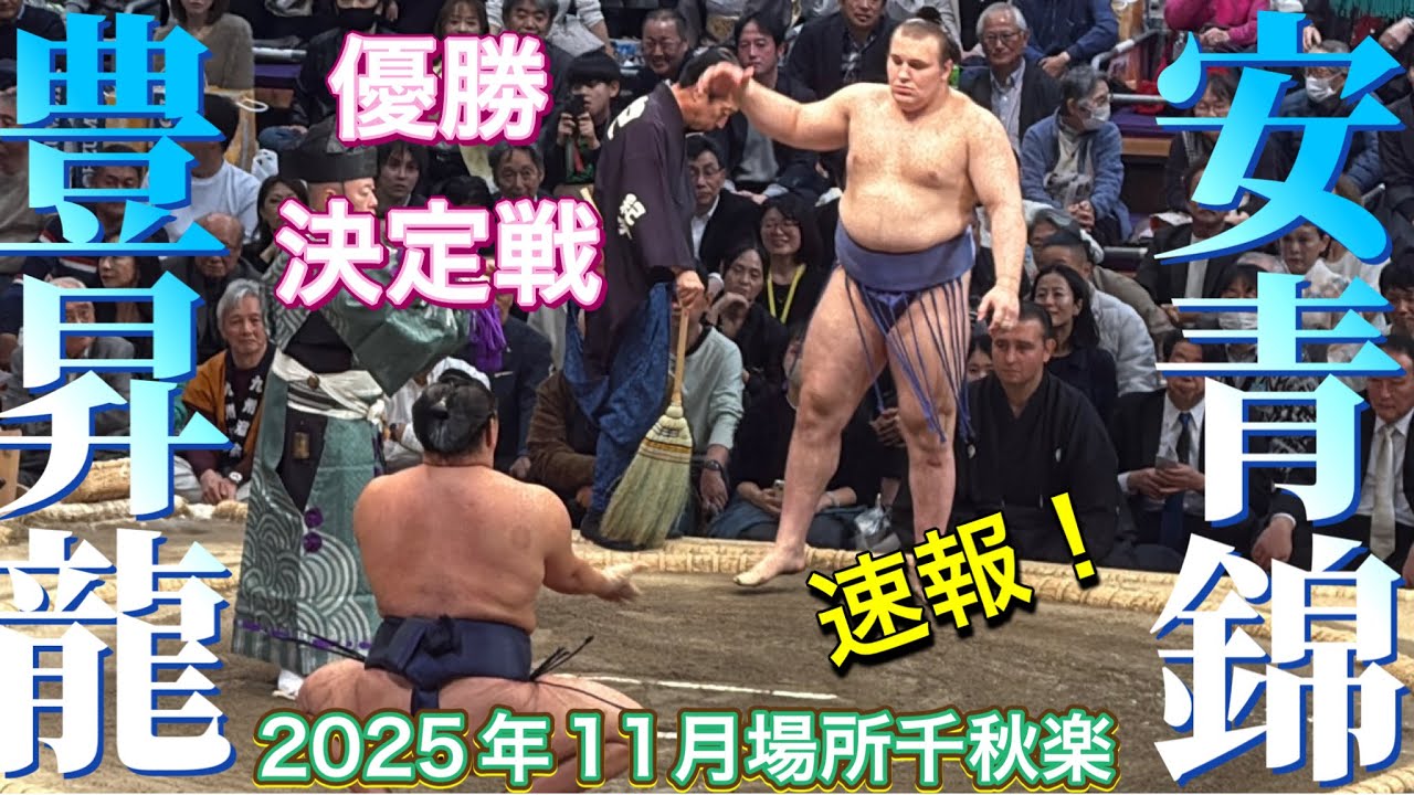 速報❗️優勝決定戦 関脇 安青錦vs横綱 豊昇龍【大相撲令和7年11月場所】千秋楽 2025/11/23 九州場所 [NOV 2025 DAY15]