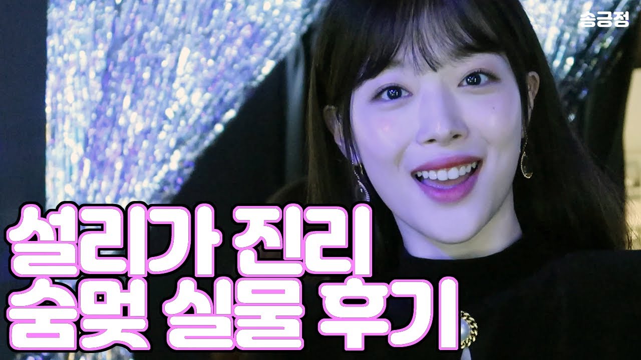 설리가 왜 진리인지 알 것 같은 이유.. 존예기 때문이지..
