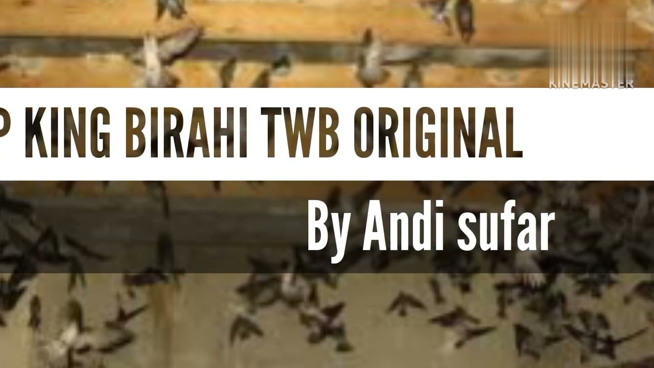 SUARA INAP KING BIRAHI TWB ASLI #IDOWALET
