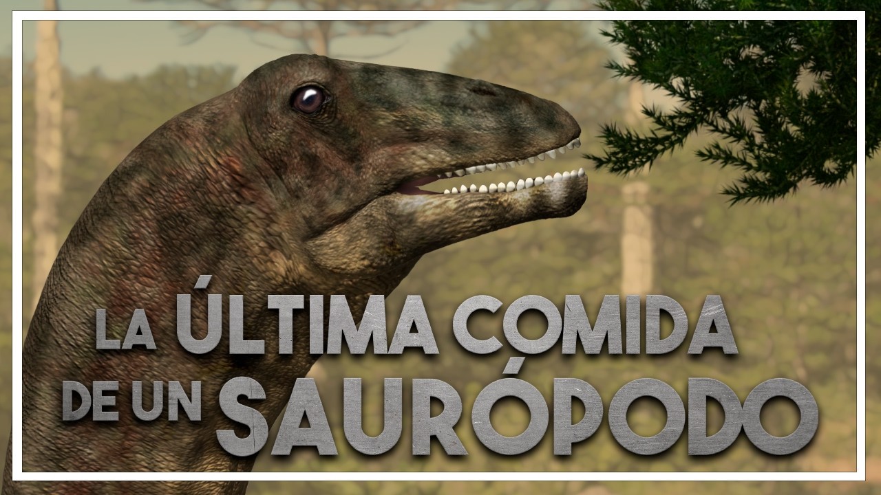 🦕 &iquest;C&oacute;mo sabemos qu&eacute; com&iacute;an los DINOSAURIOS? Diamantinasaurus y los saur&oacute;podos