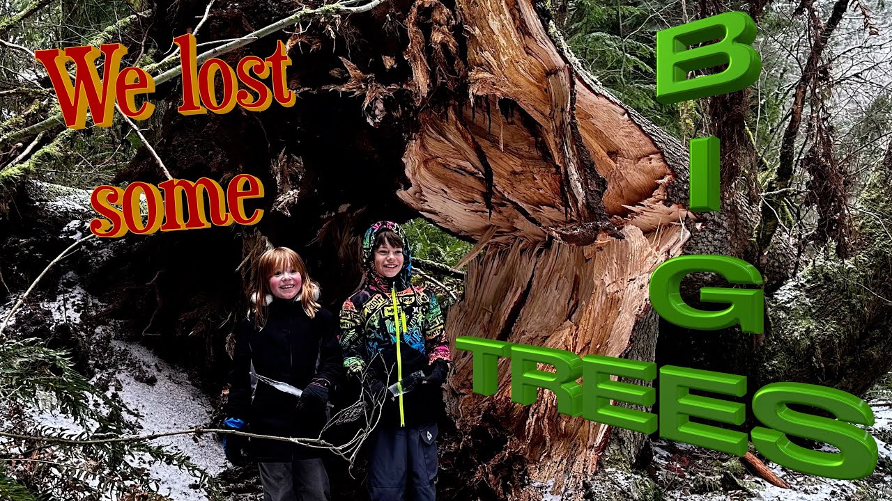 CRAZY Oregon WIND And ICE Storm 2024