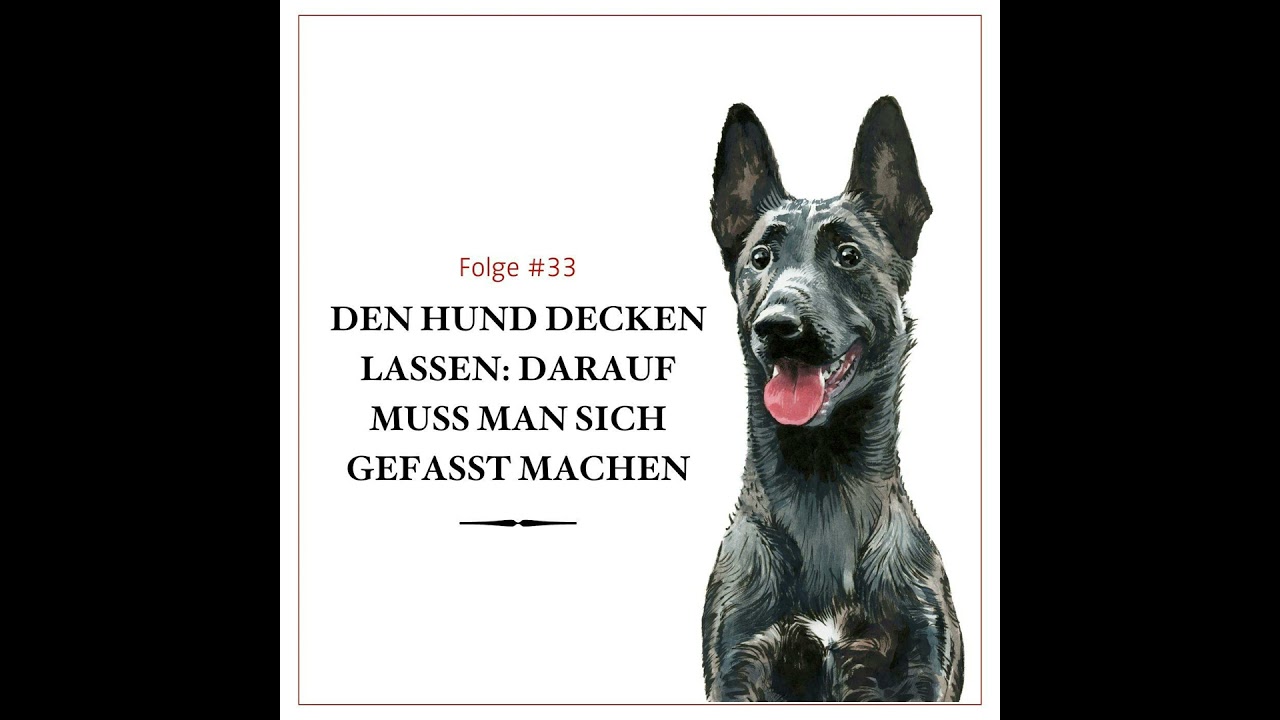 Hunde züchten: Was Herrl und Frauerl erwartet – #33