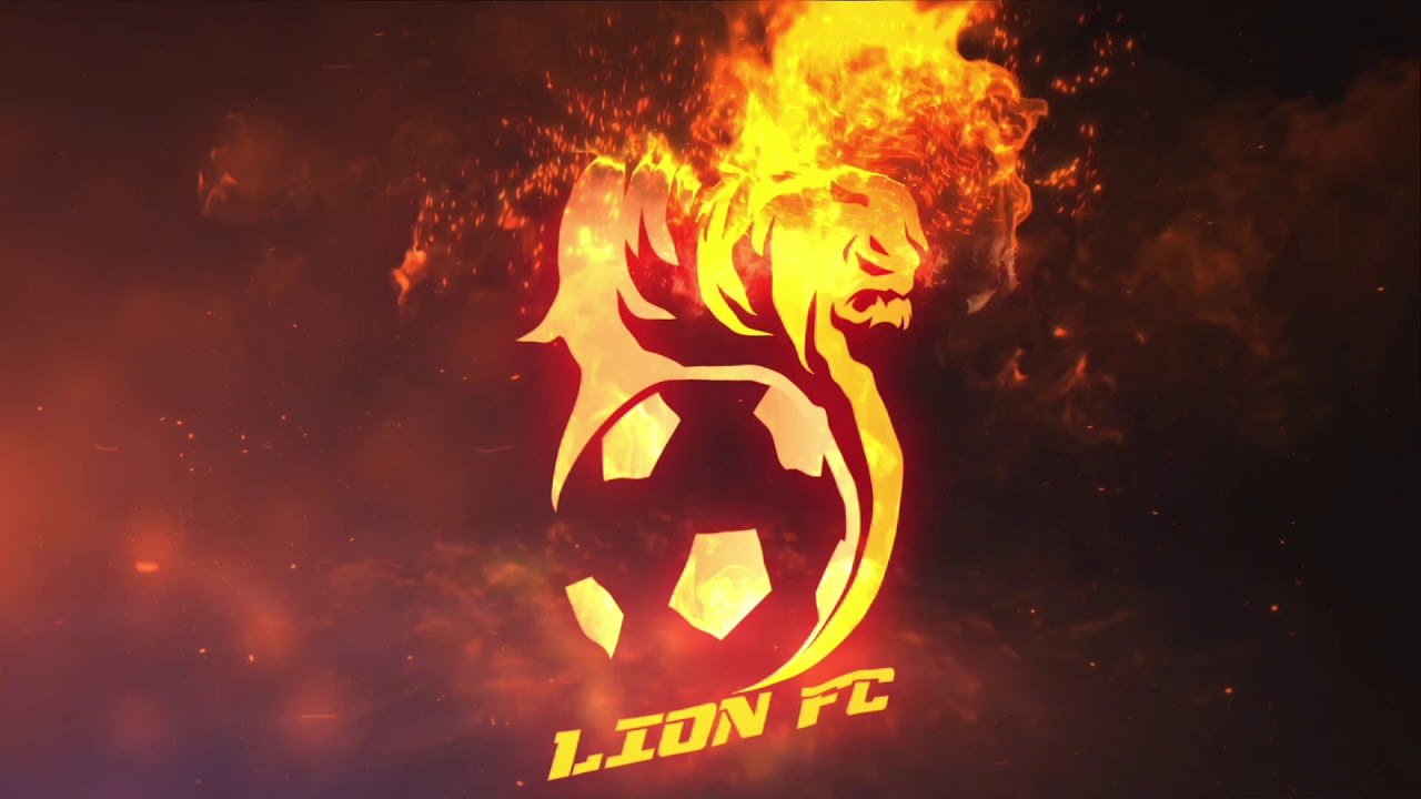Carrot Marketing | LION FC
