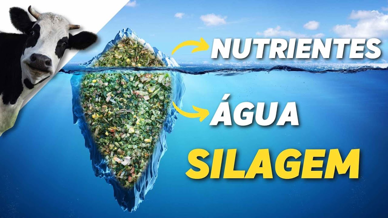 MATÉRIA SECA: você não sairá deste vídeo sem entender o que é!