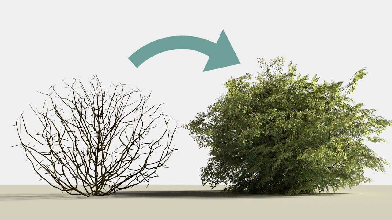Modelling the Shrub #2. Leaves particle system