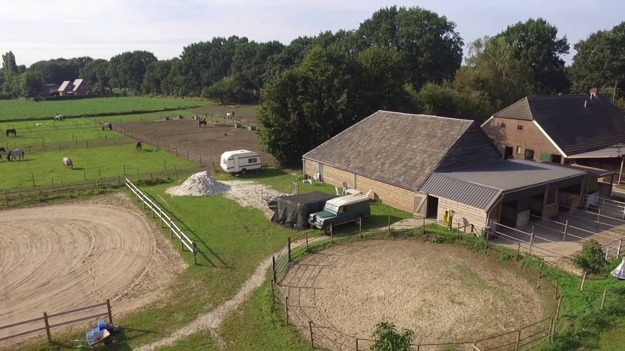 Alles Puur Paard Wezuperbrug