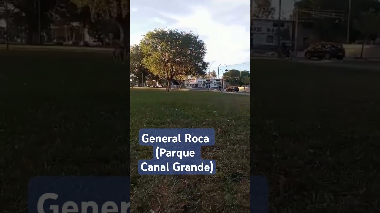 General Roca. Patagonia