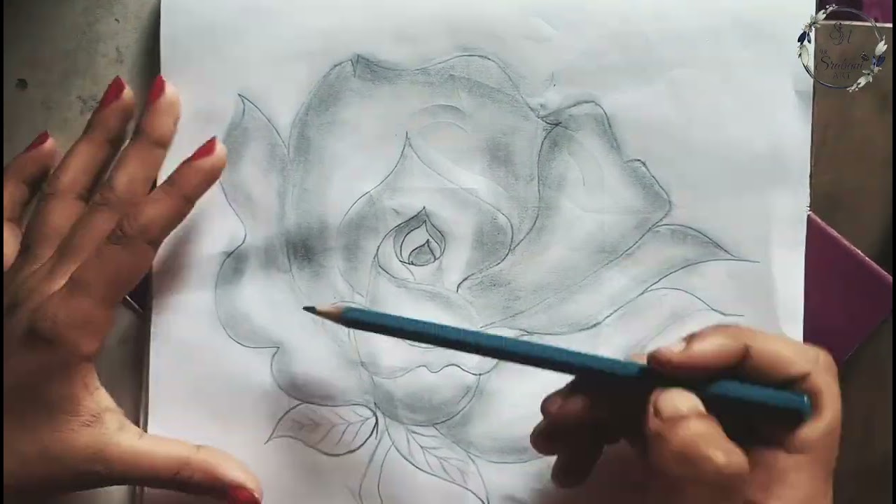 Beautiful Rose Drawing||#TheSrabaniArt #Rose drawing