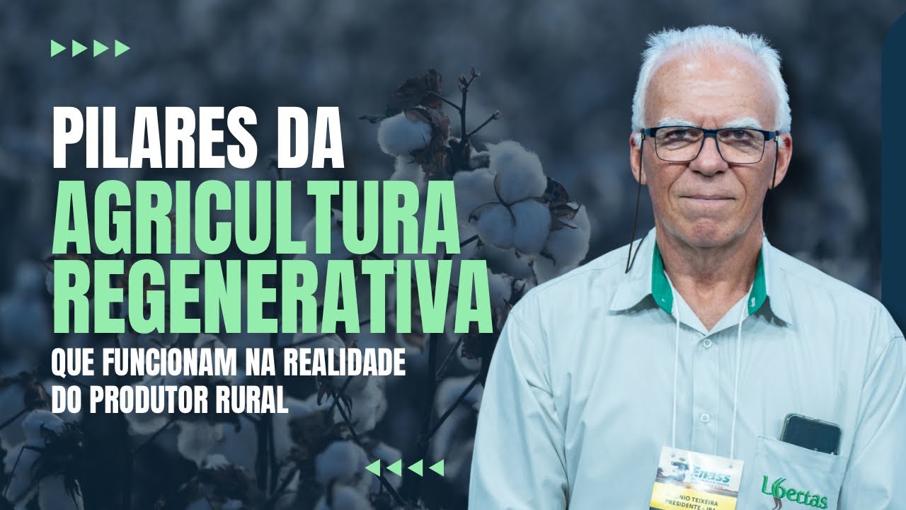 6 pilares-chave da Agricultura Regenerativa Tropical para resultados eficientes | IBA