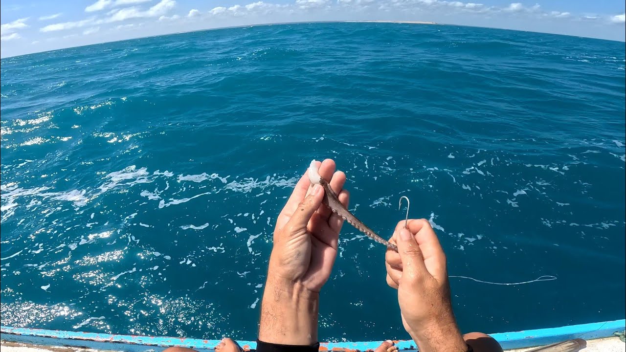 PESCARIA NO ALTO MAR, PESCA NA JANGADA MUITA AVENTURA E BONS PEIXES!!