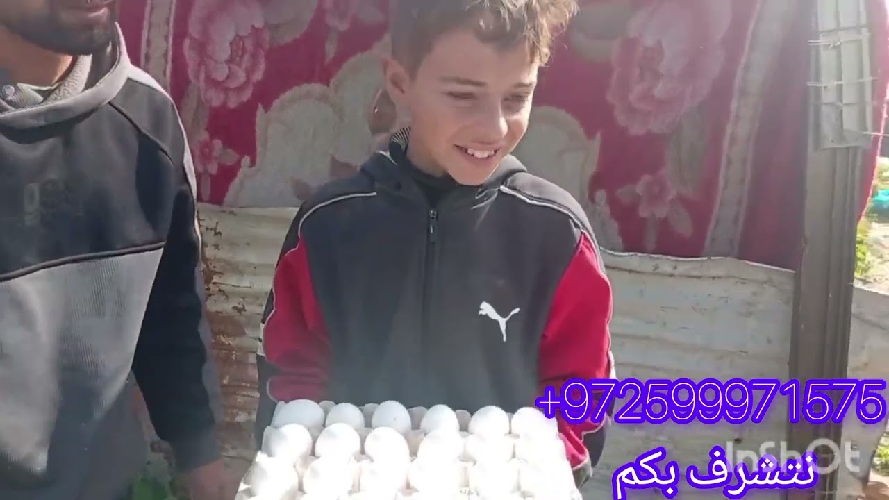 فضلا وليس امرا مشاهده الفيديو بالكامل ومشاركته زورونا عبر رقمنا الوتس ✅ 972599971575+
