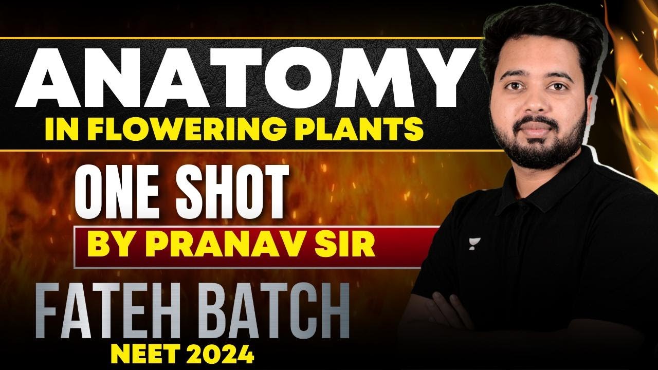 Anatomy in Flowering Plants | ONE SHOT | FATEH BATCH : NEET 2024 #neet2024