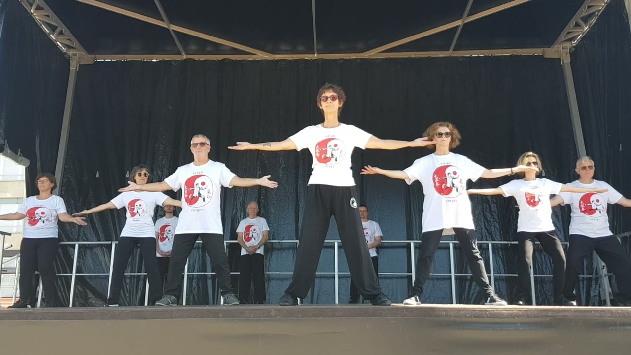 Qi Gong -  Yi Jin Jing / Vitao Vosges / Epinal - Associations en Fête 2Sept2023