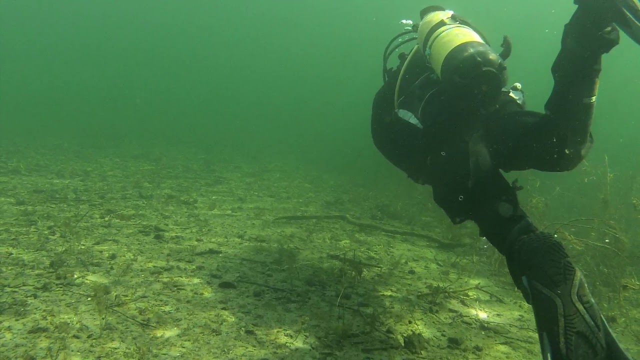 Plongée au barrage de l'eau d'heure, la plate taille 18/04/2019