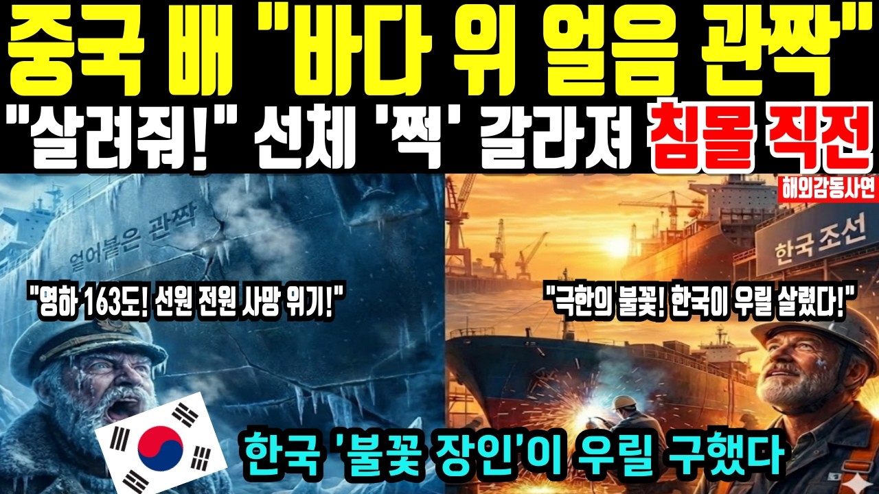 [해외감동사연] 