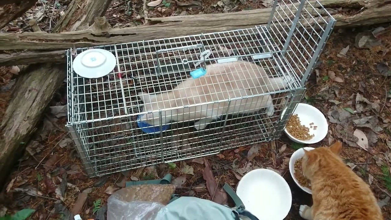 大急ぎで欠席者多数　0302