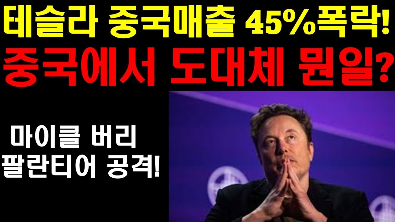 테슬라 중국 매출 45% 급감! 도대체 중국에 무슨일이 벌어지길래? 테슬라 중국마저 시장을 잃고 있나? 팔란티어 더 떨어지나? 마이클 버리 팔란티어 저격! 엔비디아 결국 200불