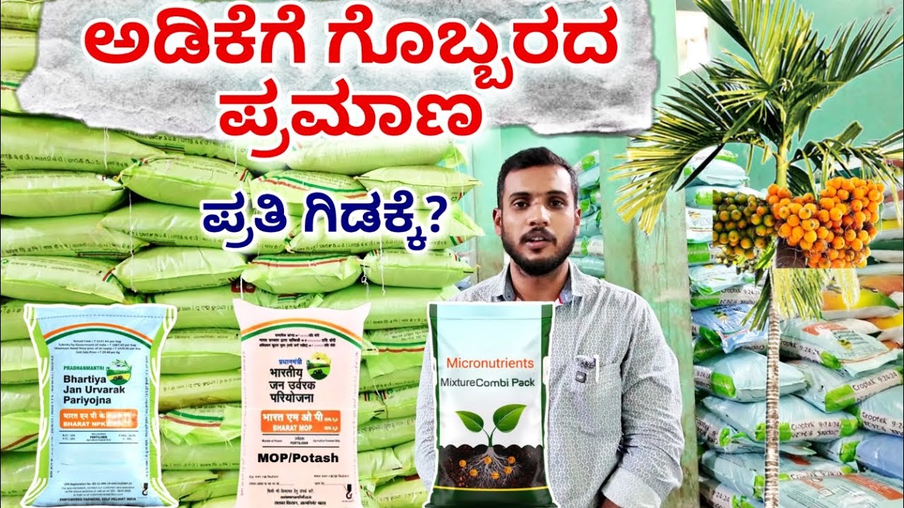 ಅಡಿಕೆಗೆ ಗೊಬ್ಬರದ ಪ್ರಮಾಣ| NPK fertilizer| Micronutrients for Arecanut plants| Pragyankrishi