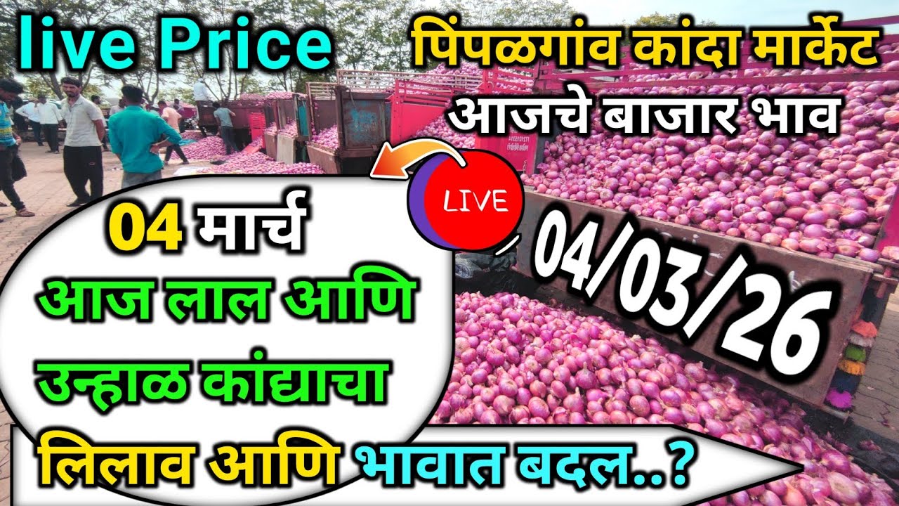 Pimpalgaon Onion Market Price Today:Latest Rates And Insights 04 march 2025