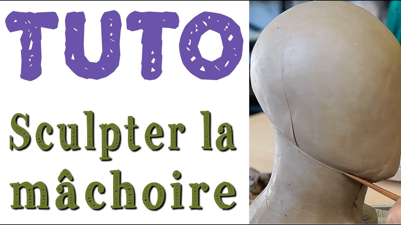 Quand vous sculptez la mâchoire, pensez au gonion !