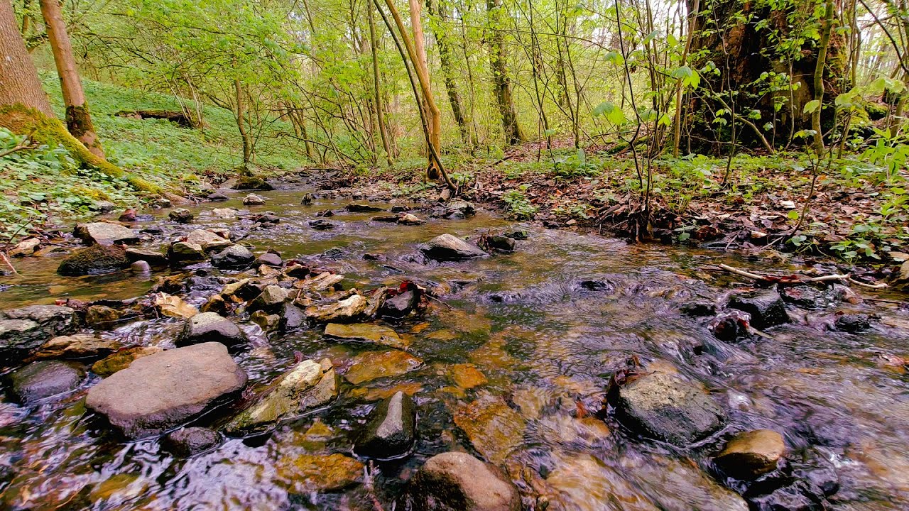 Нежные звуки воды помогут быстро заснуть - 2 часа нежного плескания для сна