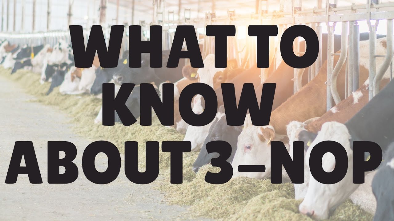 What to know about methane emissions, Canadian approvals, and 3-NOP