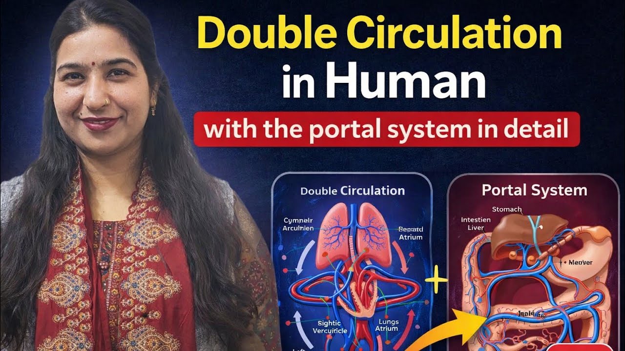 Double Circulation|ICSE/CBSEBOARD#ICSE/CBSEBiology#Class10Biology #portalsystem|BIOLOGY BY APRNA MAM