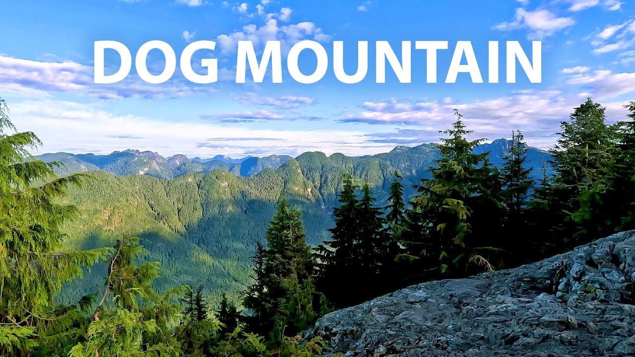 Dog Mountain, Mt Seymour North Vancouver BC 4K Virtual Hike