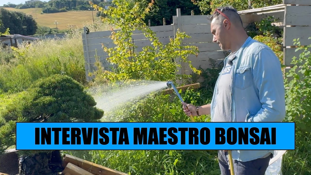 INTERVISTA DIEGO FORTUNA - Maestro bonsai