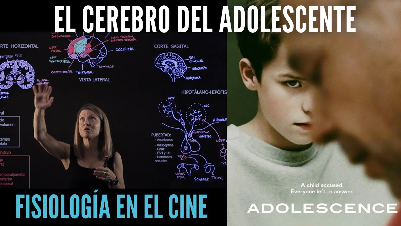🤯¿Qué sucede en el CEREBRO de los ADOLESCENTES?