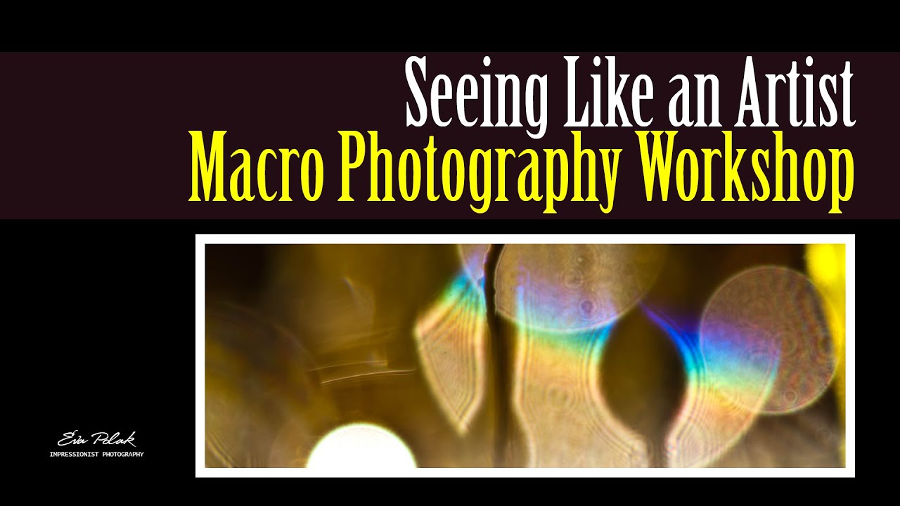 Seeing Like an Artist Macro Photography Workshop