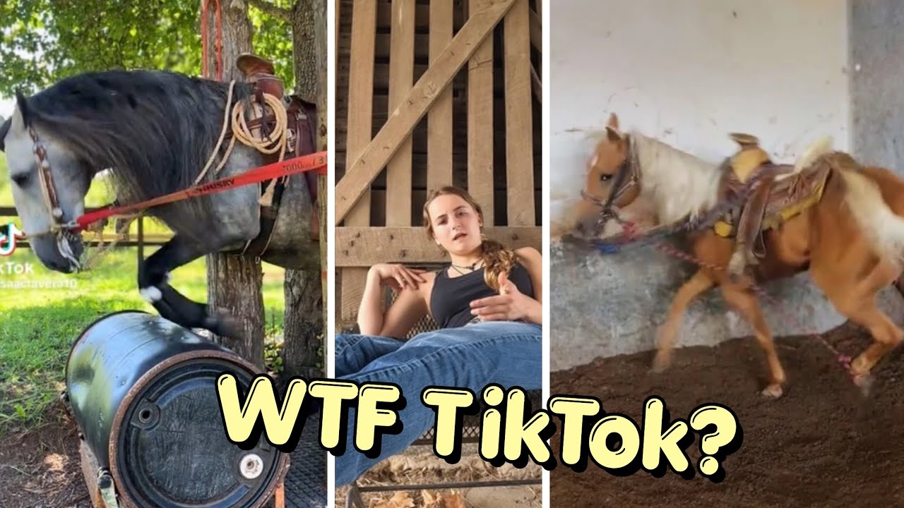 Cruelty Is Becoming “Normal” On TikTok
