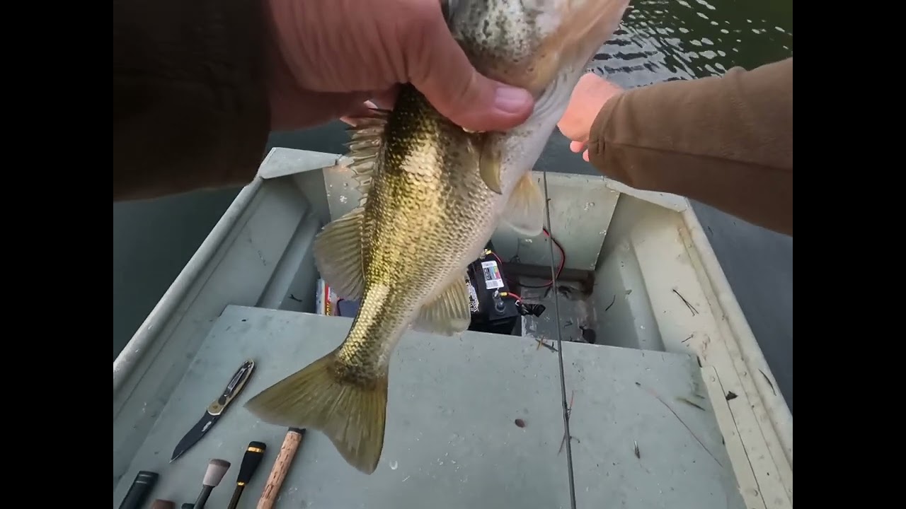 Oak Mountain State Park #fishing #bassfishing #outdoors #bass 