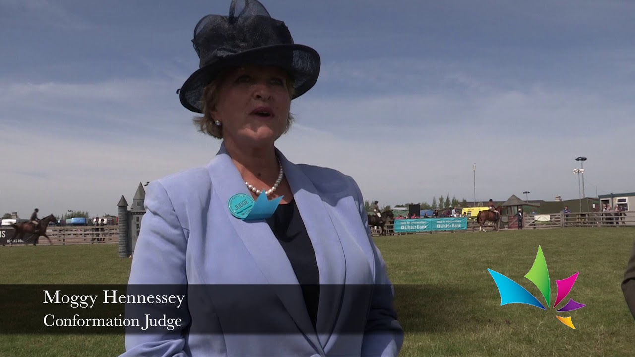 Small Working Hunter Class 51 Hi lights