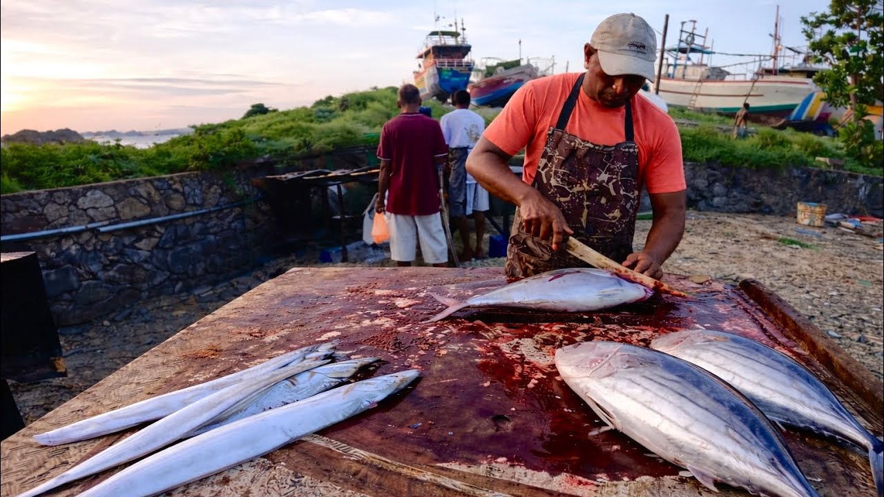 Super Fish Cutter Cuts Seven Fish Of Two Types In Seven Minutes