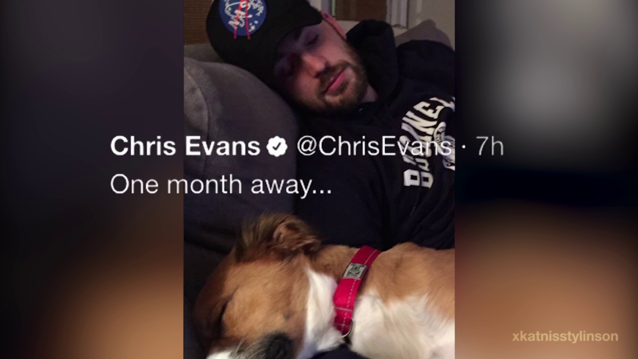 Chris Evans & Dodger | A stupid video about a special bond