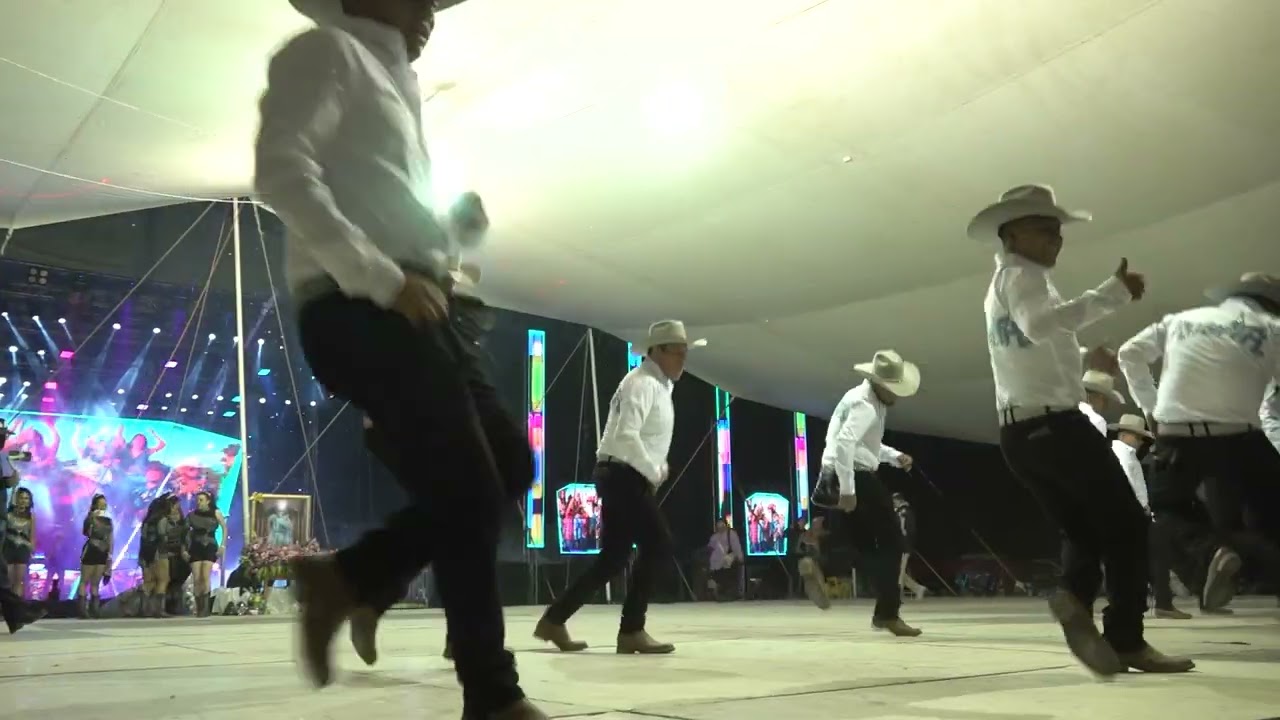 BALLET JUVENIL LOS GALLITOS 2024 - 45 GRADOS