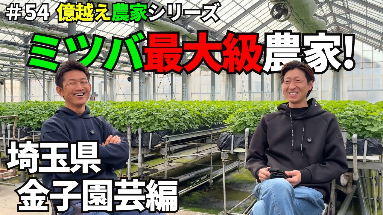 #54【億越え農家】ミツバで年商3億越えの農家は考え方も農地もスケールが大きかった #岡山 #農業 #家庭菜園 #植物 #水耕#栽培#ビニールハウス#植物工場#農地#コーヒー #国産コーヒー