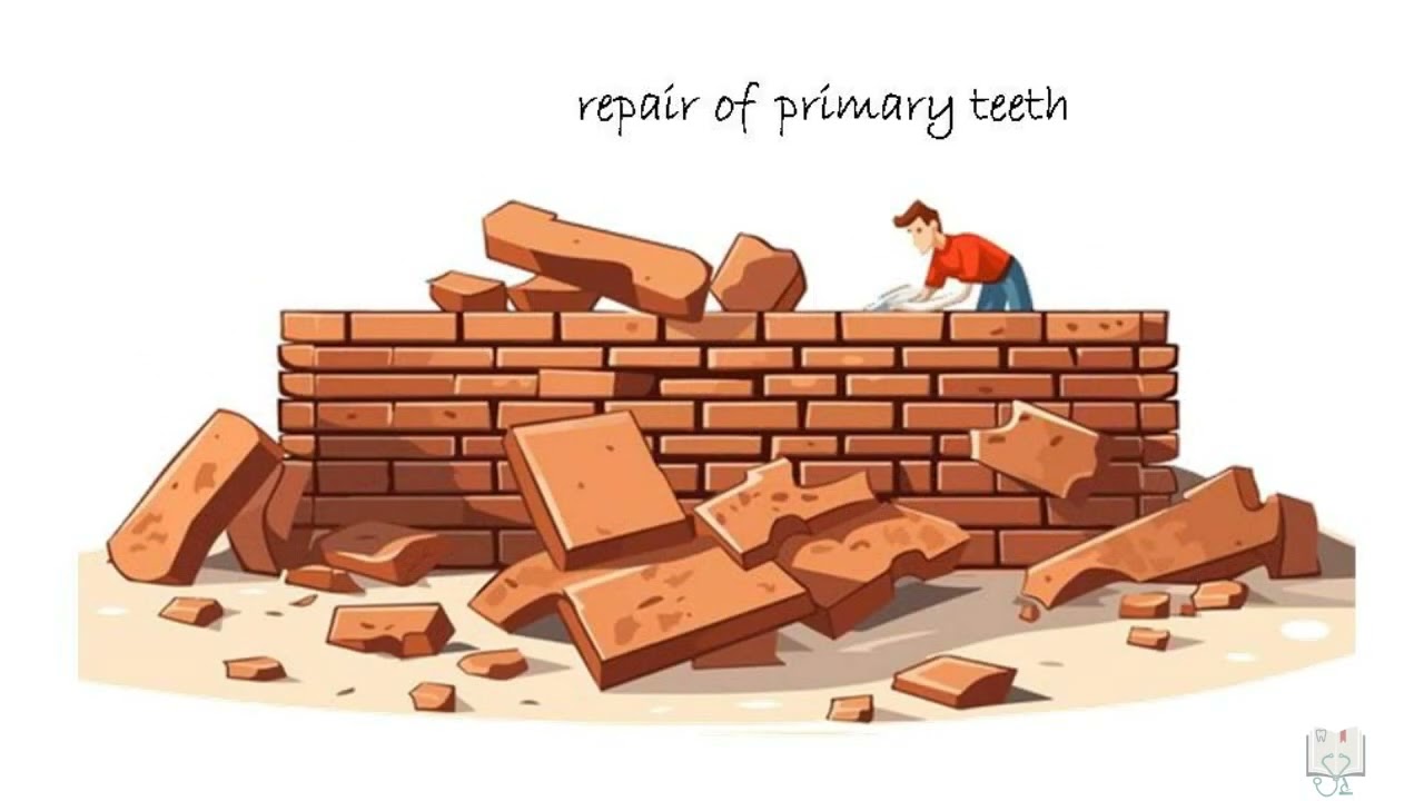 Shedding of deciduous teeth