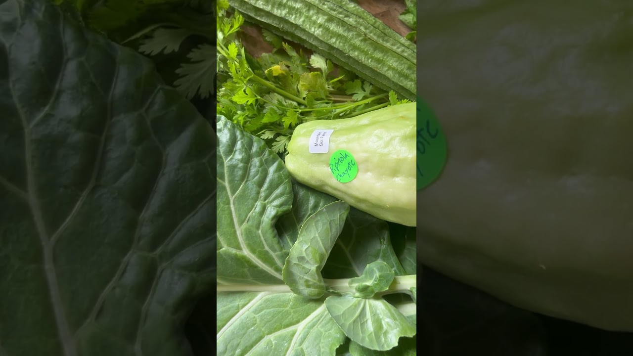 #local #locallygrown