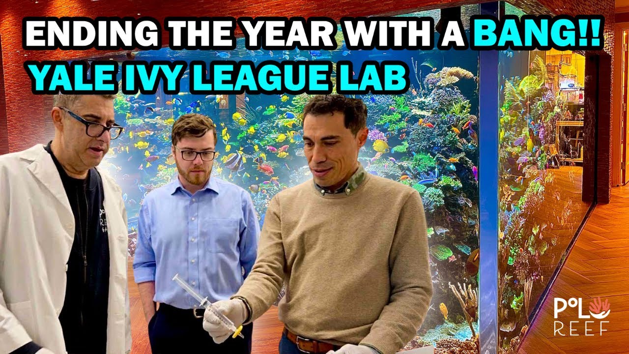 BATTLING HIGH METALS IN THE AQUARIUM + YALE VISIT & MEDIA REACTOR DIY FIX!