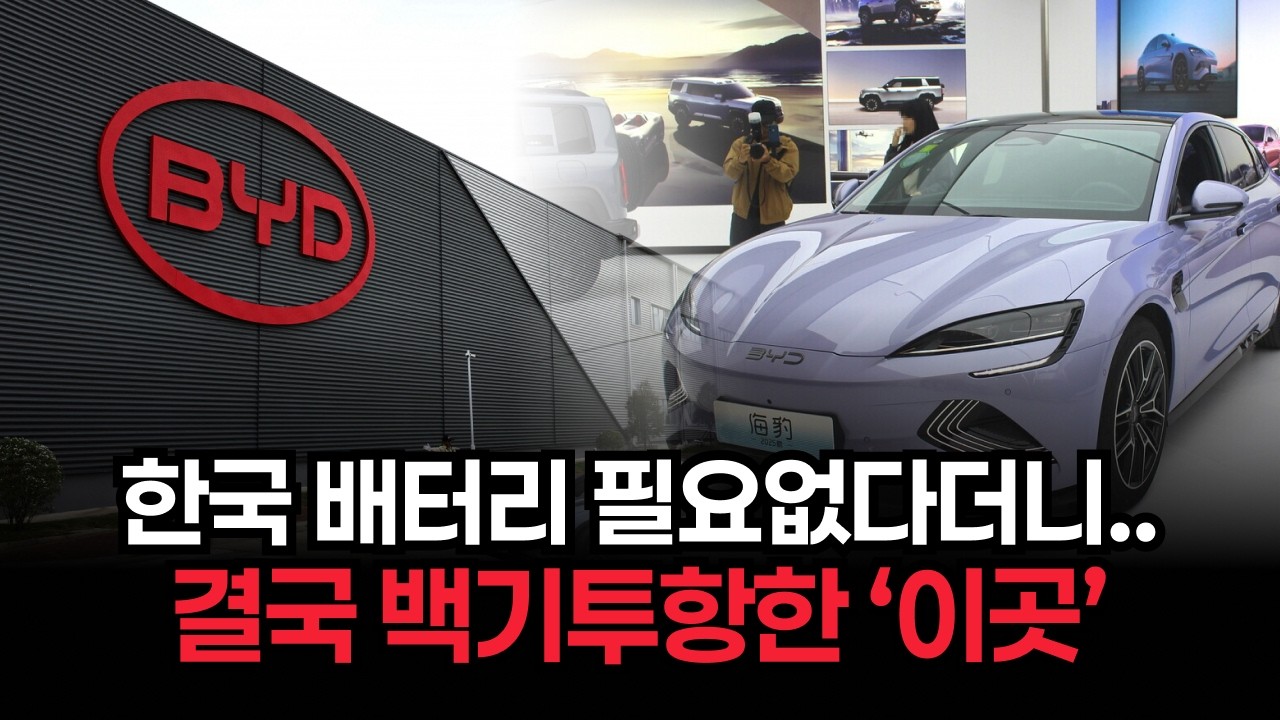 한국 배터리 없이도 1위 가능하다 호언장담하던 BYD, 유럽 수출길 막히자 한국에 
